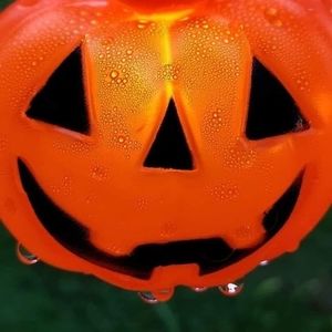 Meet your Posher, Rachelle